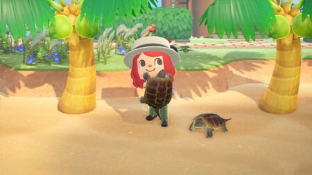 Los insectos, peces y criaturas marinas de Animal Crossing: New Horizons que desaparecen en octubre