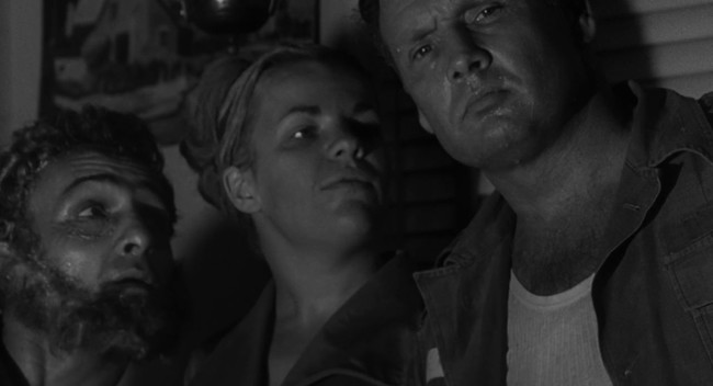 The Nest Of The Cuckoo Birds 1965 2