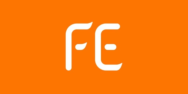 Fe