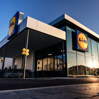 Lidl trae de nuevo la herramienta barata que te ahorrará llamar a un pintor profesional para renovar tu casa