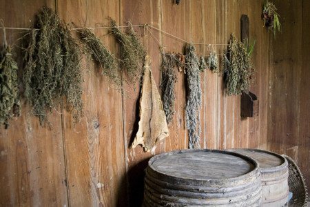 Cómo secar hierbas aromáticas en casa