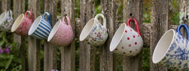 Por qué cada vez más jardineros cuelgan tazas en las vallas (y beneficia a todas las plantas) 