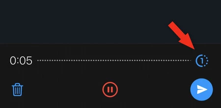 Whatsapp オーディオ 1 名様利用