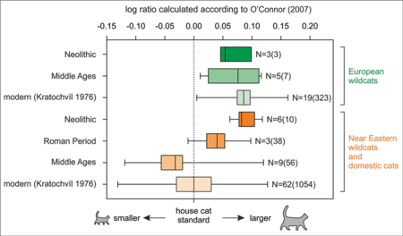 Variación del tamaño medio del gato salvaje europeo (verde) y el gato doméstico (naranja)