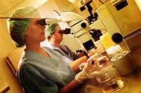 Nace el primer bebé de España sin trombopenia neonatal aloinmune