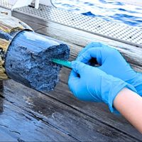 Está vivo! Cientistas descobrem criaturas vivas em "meleca vulcânica" encontrada nas profundezas do oceano 