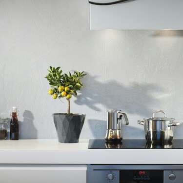 El otro uso del champú en seco que pocos conocen: así puede usarlo para limpiar la cocina