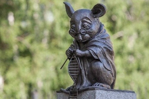 La entrañable escultura de un ratón tejiendo una cadena de ADN que podemos encontrar en Rusia y que nos recuerda su importancia