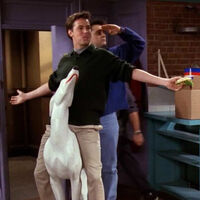 El eterno Matthew Perry de 'Friends' y su pasión por los descapotables: del BMW Z8 Roadster al Porsche 911