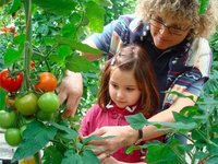 Visitas educativas al invernadero