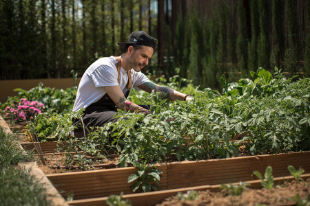 Juan Llorca en el huerto