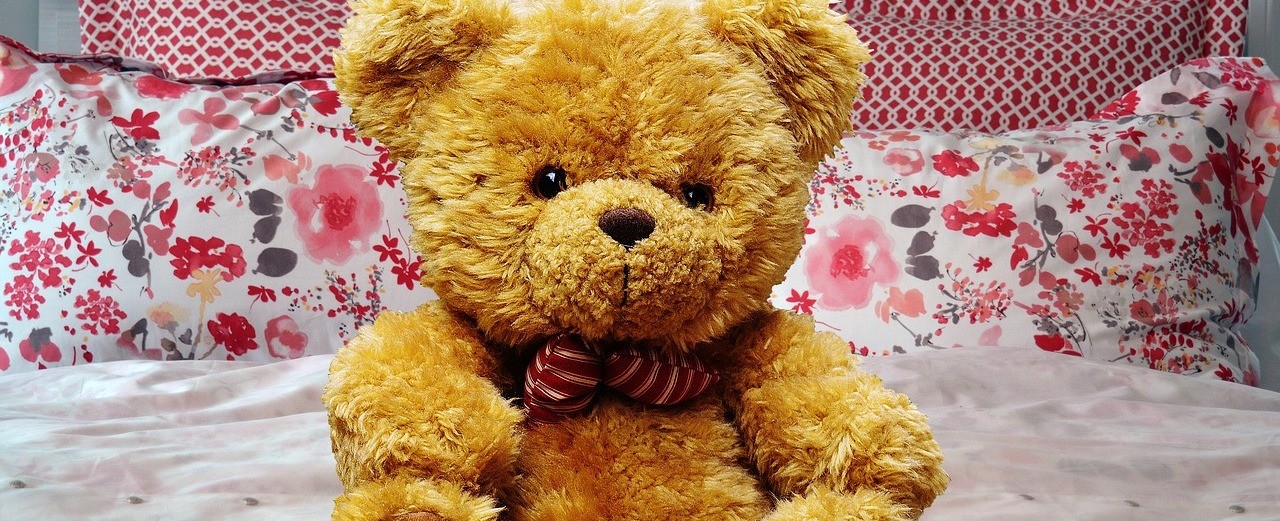 peluches con audio personalizado mexico