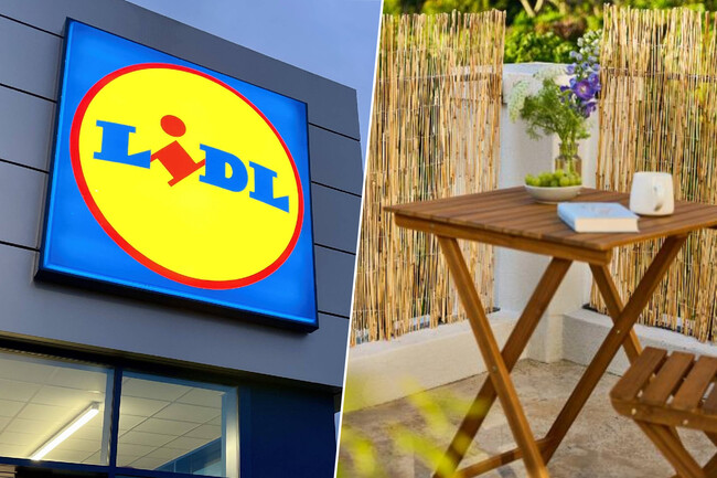 Lidl Estera D E Ocultacion De Canizo