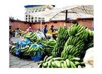 ¿Qué son las microfinanzas?