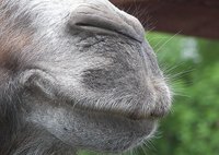 El marketing de la sonrisa