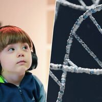 Sabemos cada vez más del autismo, y la última lección es enorme: hay dos perfiles genéticos que cambian su diagnóstico