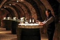 Enoturismo: las mejores bodegas del mundo para visitar