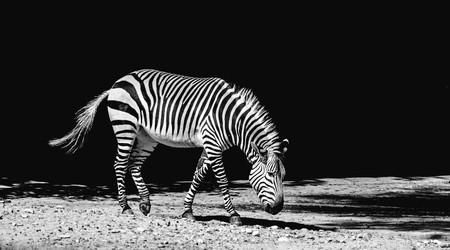 Patrones Fotografia Como Encontrarlos Y Aprovecharlos 20