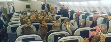 Lo que siempre quisiste saber de los halcones del príncipe saudí y no sabías a quién preguntarle
