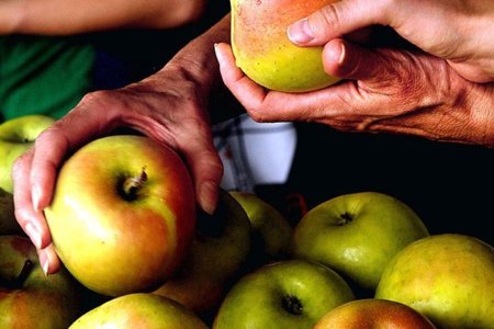 El orden de los productos sí altera los factores