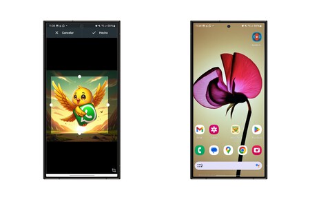 Whatsapp Modo Canario Icono 2