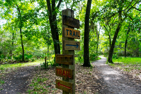Trail