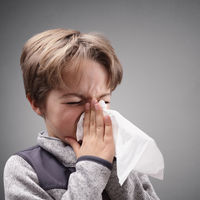 Taparse la nariz y la boca al estornudar no sería suficiente para evitar el contagio de la gripe