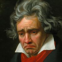 El ADN de un cabello de Beethoven pasó por un laboratorio. Se encontró una discrepancia con su línea genética
