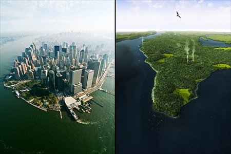 Las ciudades son más ecológicas que el campo