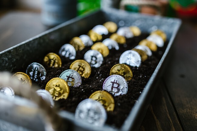 Puebla tenía una granja de criptomonedas escondida: encontraron 300 GPUs, 80 terminales eléctricas y hasta internet satelital