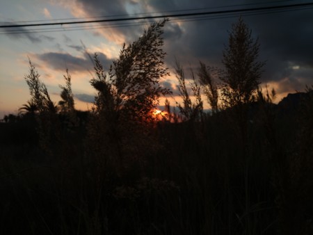 Img 20160312 184737710