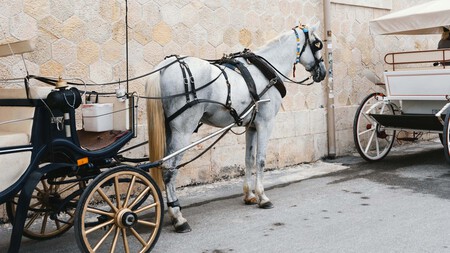Coche Caballos Malaga 2