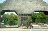 Viaje a Namibia (II) Recorriendo Etosha National Park, De Okakuejo a Namutoni