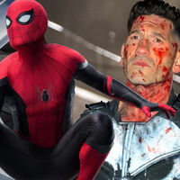 La aparición de The Punisher en la próxima película de Spider-Man es un notición y a la vez reaviva mis esperanzas de volver a ver a otro héroe callejero en la gran pantalla 