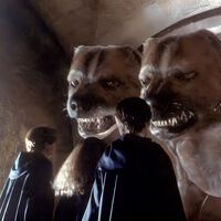 Un fan de Harry Potter pregunta: ¿Por qué Fluffy no estuvo presente en la Batalla de Hogwarts?  