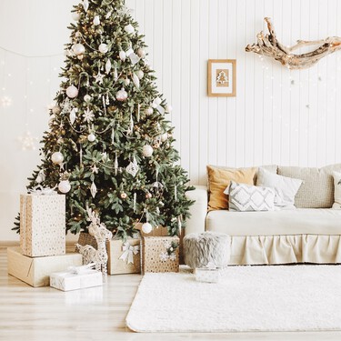 Aldi pone a la venta la alternativa más divertida a la flor de Pascua: es perfecta para casas pequeñas 