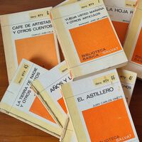 En 1969, el franquismo se empeñó en que todos los hogares tuvieran un clásico en casa: la Biblioteca Básica Salvat