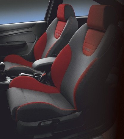 Fiesta ST Black Exterior