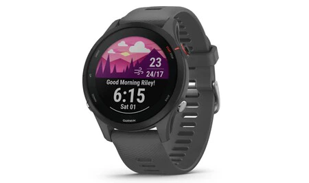 Garmin Forerunner 255