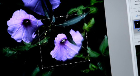 Shake Reduction: Por fin llegará a Photoshop el filtro que enfoca las fotografías movidas