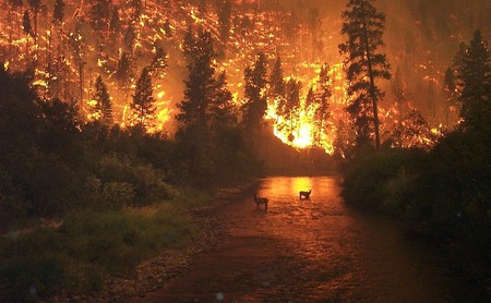 El avión antiincendios más grande del mundo transporta hasta 74.200 litros de agua