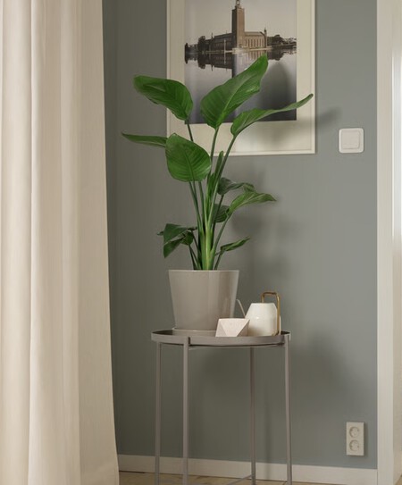 Captura De Pantalla 2025 12 28 A Las 18 32 18