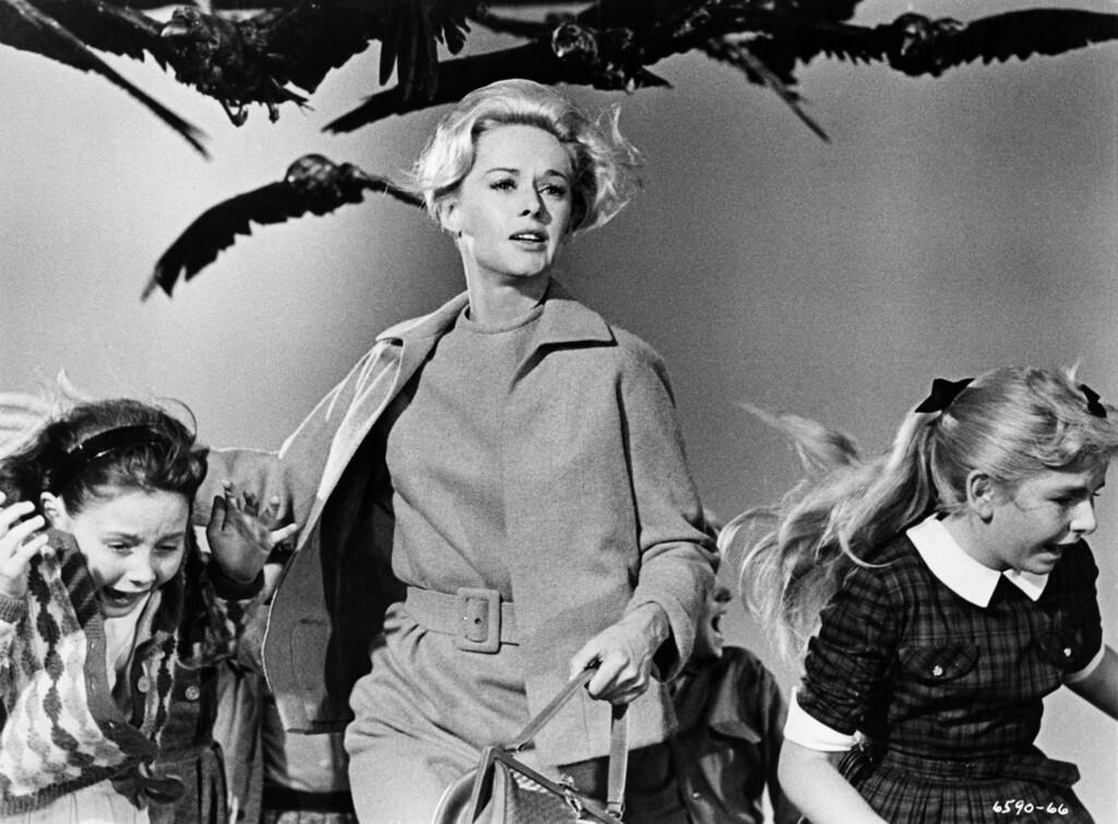 'Los pájaros' tendrá remake con una estrella de 'Succession'. En marcha una miniserie que promete ignorar a Hitchcock y "retroceder hasta el material original"