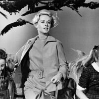 'Los pájaros' tendrá remake con una estrella de 'Succession'. En marcha una miniserie que promete ignorar a Hitchcock y "retroceder hasta el material original" 