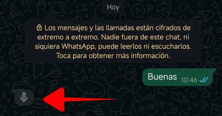 Icono Microfono Whatsapp