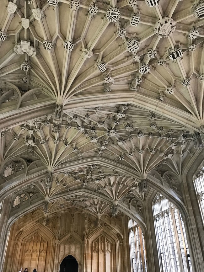 Enfermeria Hogwarts Divinity College 1