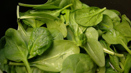 Época de espinacas: una buena opción para obtener antioxidantes