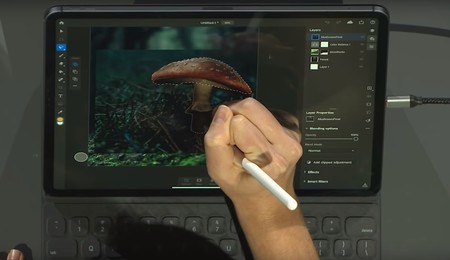 Photoshop para iPad se actualiza y añade la función de 'Selección de sujeto'