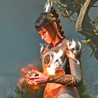 Por motivos legales una biblioteca pública no pudo comprar Baldur's Gate 3. Cuando perdieron la esperanza, Larian les dio una copia gratis sin pedir nada a cambio 