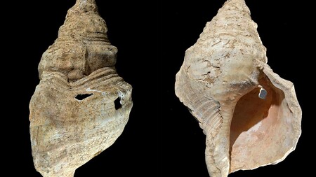 Ya podemos escuchar sonaba el instrumento de viento más antiguo: 18.000 años